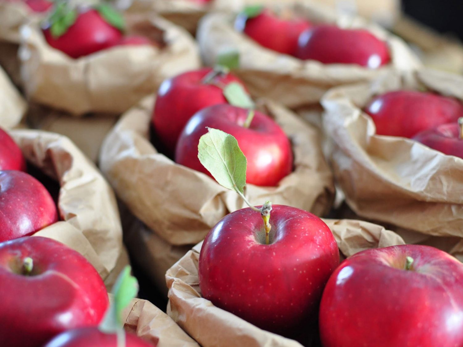FRUIT FARM KATO / PEACHMAN CAFE