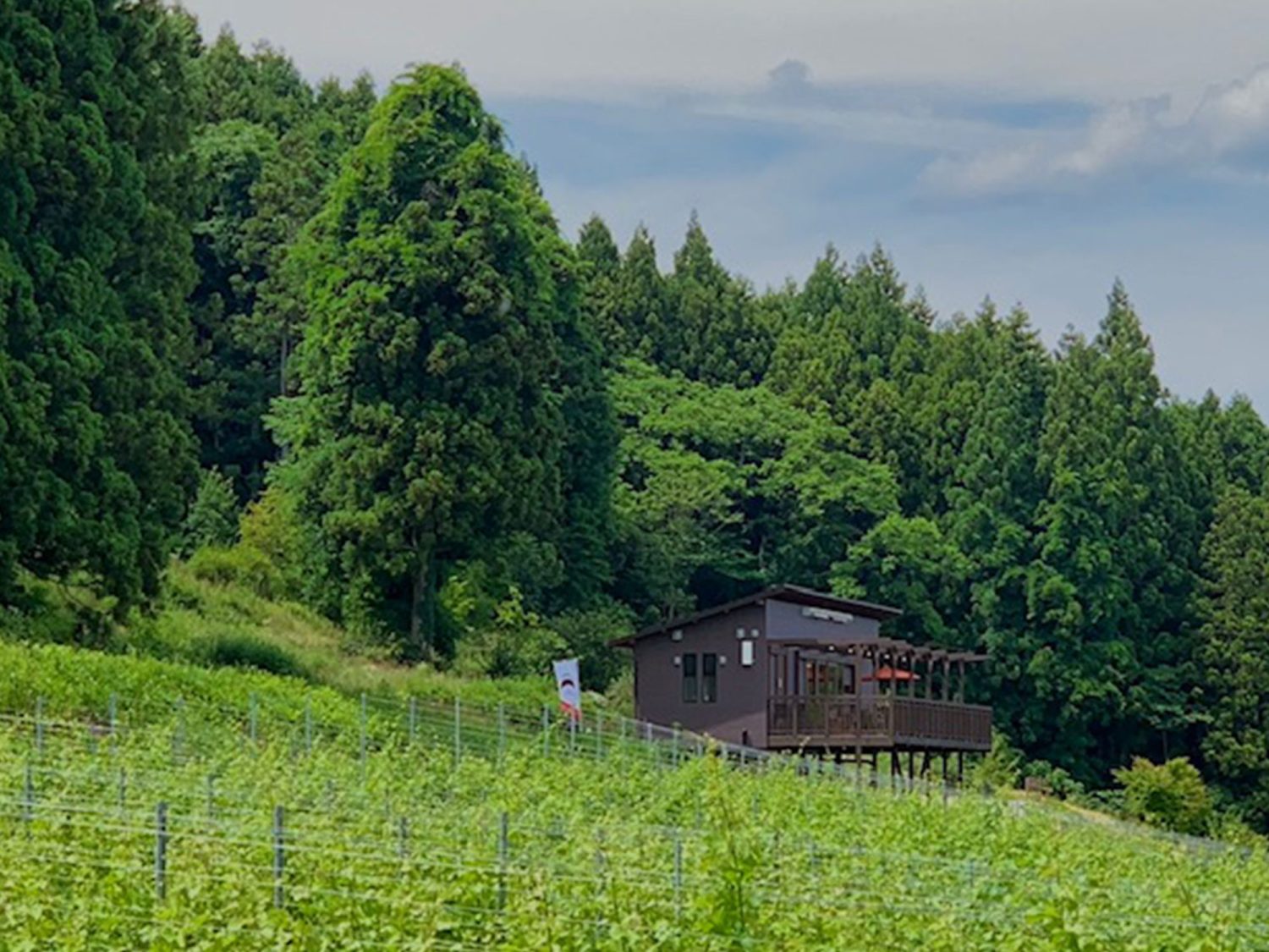 WINERY AZUMA SANROKU