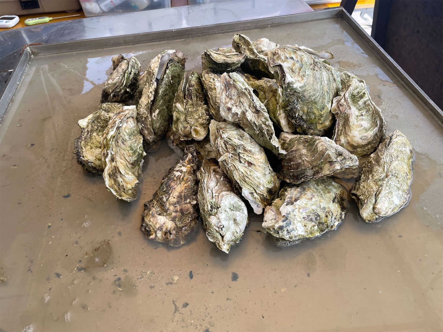岩手三陸かき酒場