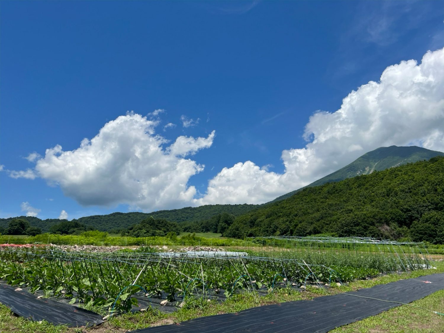 絶景・猪苗代スキー場