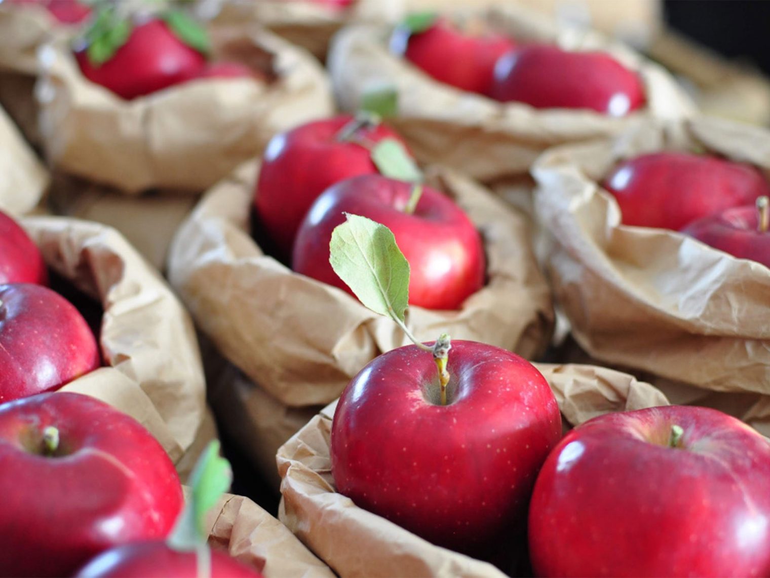 FRUIT FARM KATO/PEACHMAN CAFE