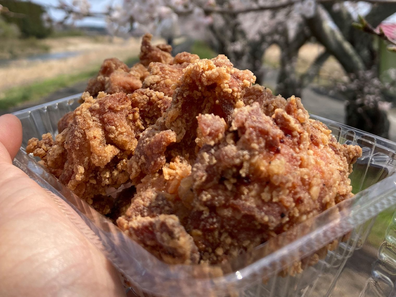たまげた家