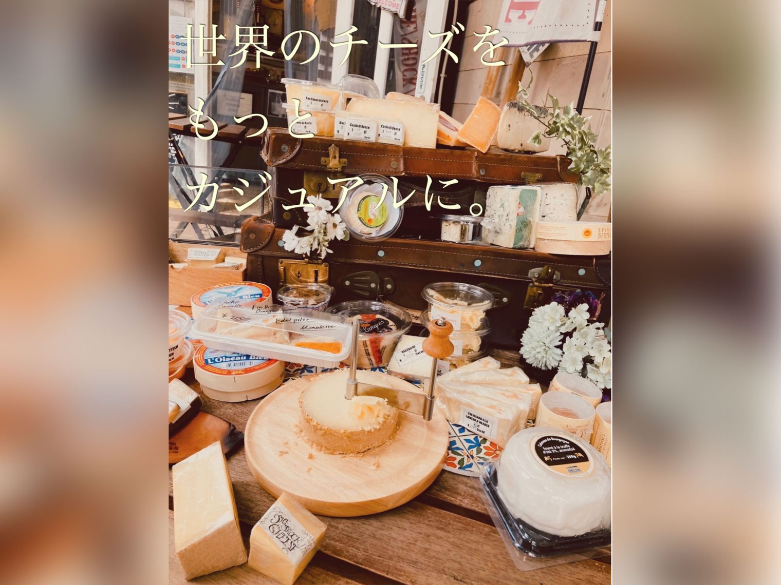 SHE/SHOCK/CHEESE