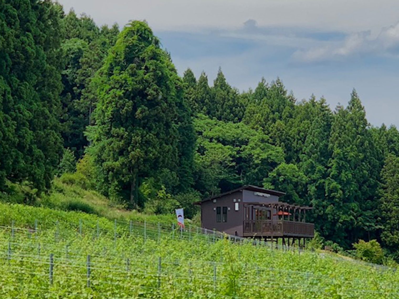 WINERY AZUMA SANROKU
