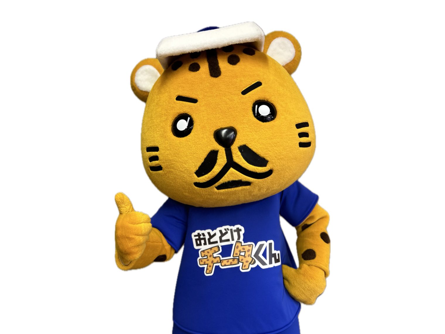 おとどけチータくん高速ブース