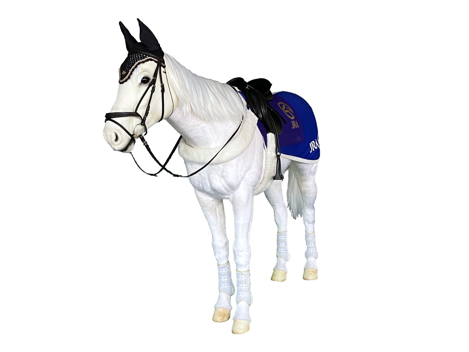 JRA福島競馬場
